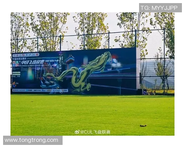 武汉飞盘队荣登全国飞盘技术排行榜第九名展现实力与潜力 武汉飞盘队荣登全国飞盘技术排行榜第九名展现实力与潜力