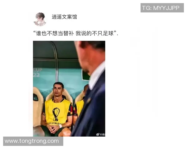 足球明星与球迷的激情碰撞展现足球文化的魅力与情感共鸣